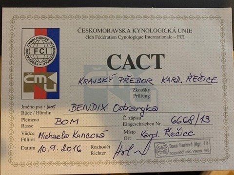 BENDIX OSTRARYKA CACT